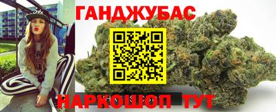 гидра Шахты