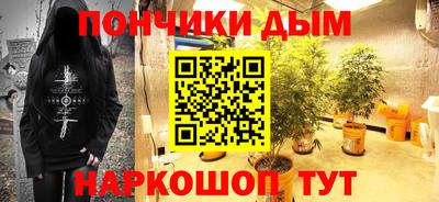 хмурый Шелехов
