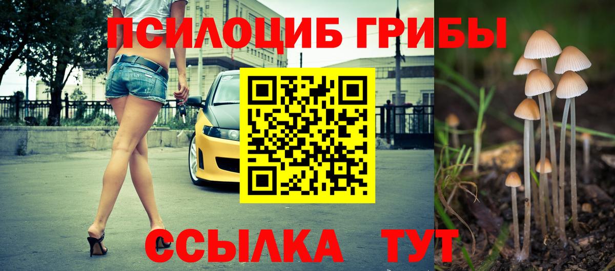 Галлюциногенные грибы Magic Shrooms Ейск